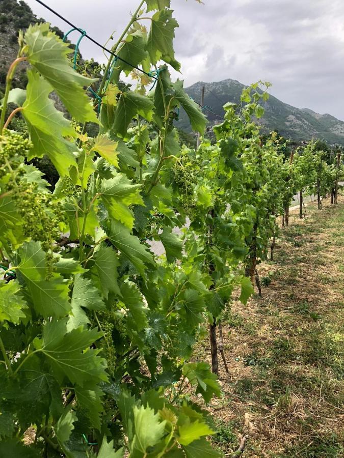 Villa Iannetta Di Monte Cassino Belmonte Castello Ngoại thất bức ảnh